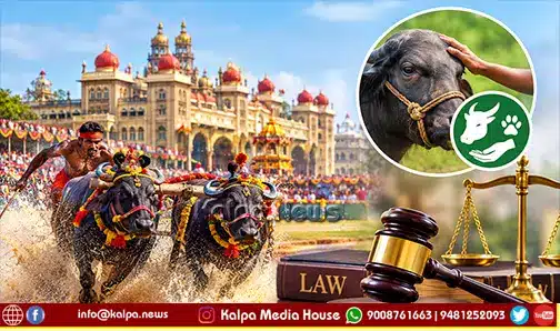 Mysuru Dasara Kambala Legal Issues Animal Welfare Rules