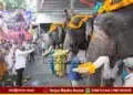 Shivamogga Dasara Elephant Sagar Bahadur Somanna