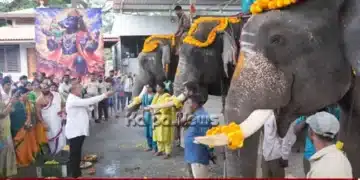 Shivamogga Dasara Elephant Sagar Bahadur Somanna