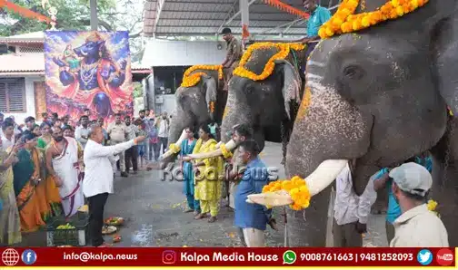 Shivamogga Dasara Elephant Sagar Bahadur Somanna