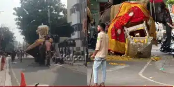 Shivamogga Dasara Elephants Clash Devi Idol Ambari Falls copy