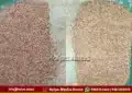 Shivamogga Hosanagara poor quality ragi distribution