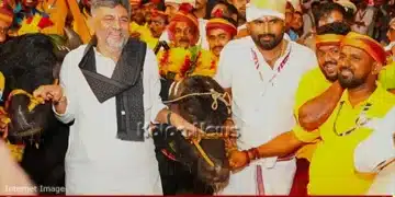 dasara kambala dk shivakumar coastal culture