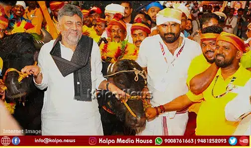 dasara kambala dk shivakumar coastal culture