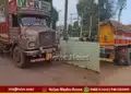 ripponpet vehicle hits cows two cows killed two injured