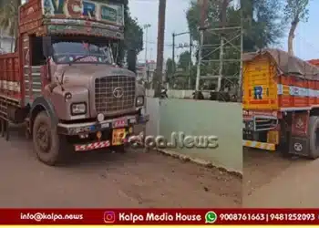 ripponpet vehicle hits cows two cows killed two injured