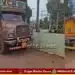 ripponpet vehicle hits cows two cows killed two injured