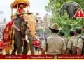 shivamogga dasara elephant incident new rules