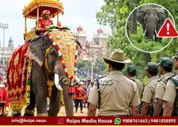 shivamogga dasara elephant incident new rules