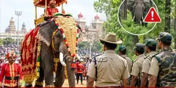 shivamogga dasara elephant incident new rules