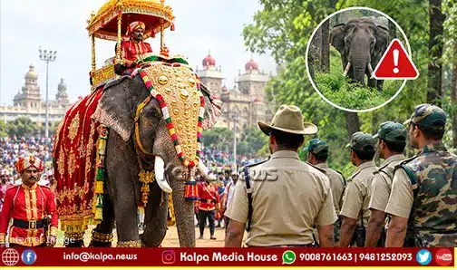 shivamogga dasara elephant incident new rules