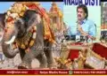 shivamogga dasara elephant incident report madhu bangarappa