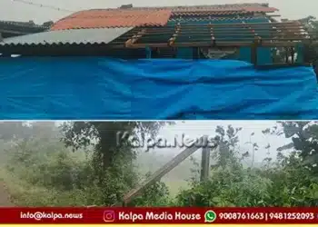 sorab storm rain heavy damage tree falls on power line