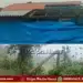 sorab storm rain heavy damage tree falls on power line