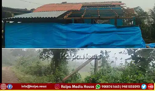 sorab storm rain heavy damage tree falls on power line